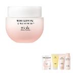 [24% SALE] 한율 빨간쌀 보습탄력 크림 55ml